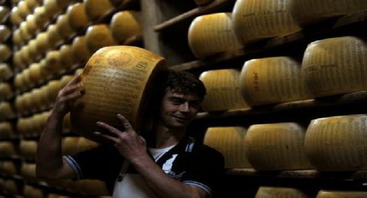 أقراص الجبن