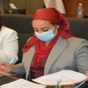 المرأة السيناوية وإيناس حافظ