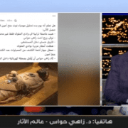 الدكتور محمد الباز