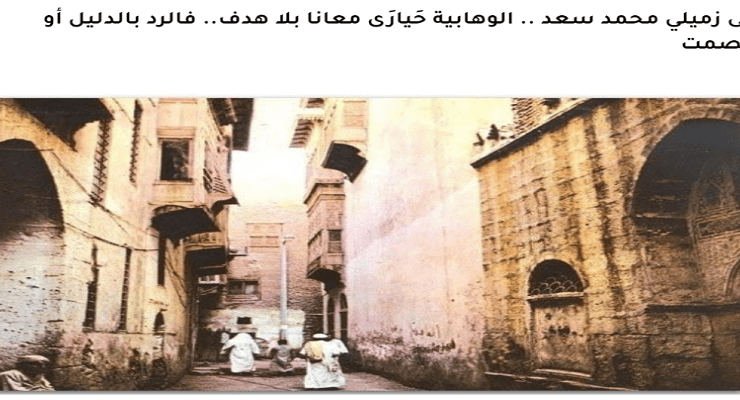 مقال مي محمد المرسي