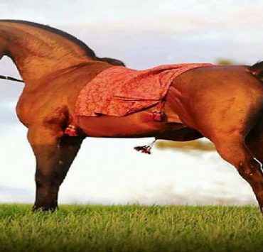 الذين جرفتهم الصهيونية…”ما الذي كان يُنشر في الصحافة اليهودية المصرية”؟ الصهيونية