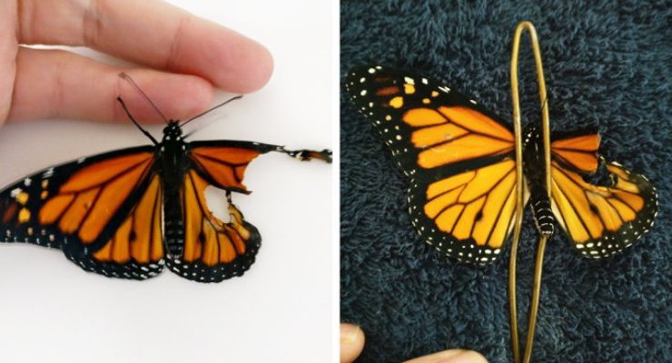 كيف تعلم طفلك الشجاعة