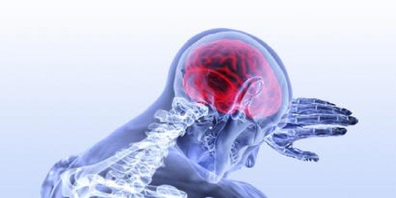 الهيبوكامبوس