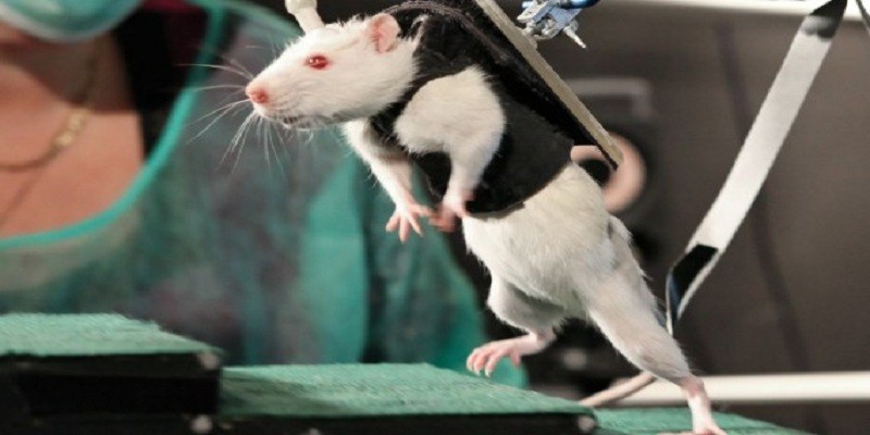 أليكس مارتن