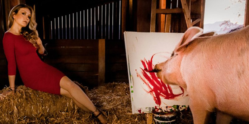 صور: بيجكاسو الخنزيرة الموهوبة.. لوحاتها تباع بآلاف الدولارات وعشقت كرة القدم بيجكاسو