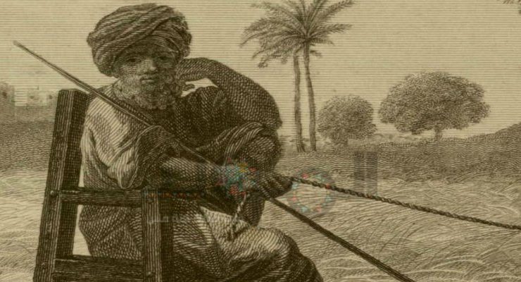 محمد أبو عمر