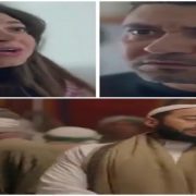 الحلقة الثانية من مسلسل النمر