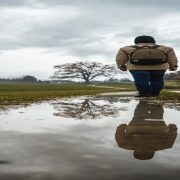 مسلسل المداح