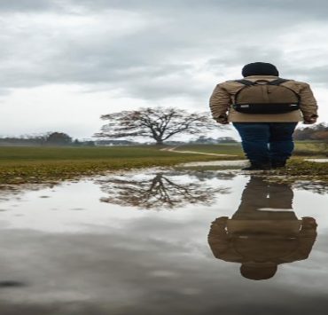 مسلسل المداح