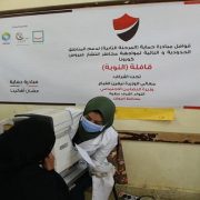 مبادرة حماية في النوبة