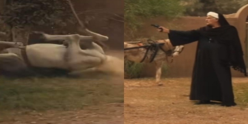 “رواية مشكوك فيها وتخدير”..قصة مشهد مقتل حصان مسلسل “موسى” مسلسل موسى