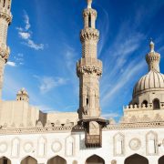 الأزهر وفكرة المشروع الإسلامي