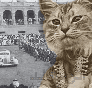 حليم الرومي