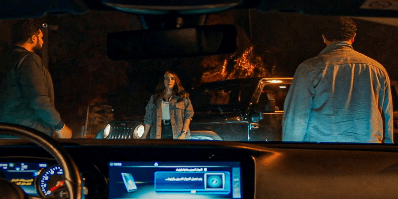 مـسـلـسـل الـنـمـر