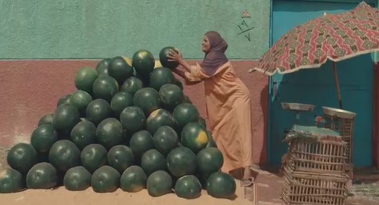 إحدى المستفيدات من مبادرة حياة كريمة