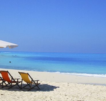 حوار سعيد بن جبير مع الحجاج بن يوسف.. حين يكون للكذب وجهة نظر سعيد بن جبير