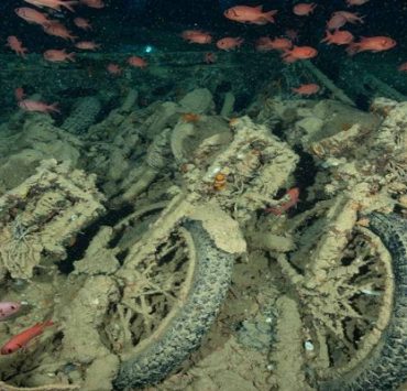 السفينة سيسل جورم