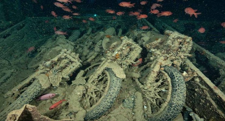 السفينة سيسل جورم