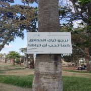 حديقة المنتزة