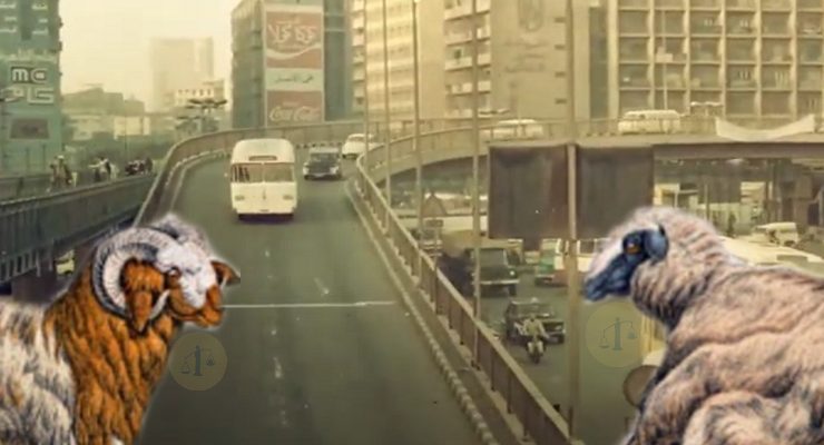 خرفان الأضحية