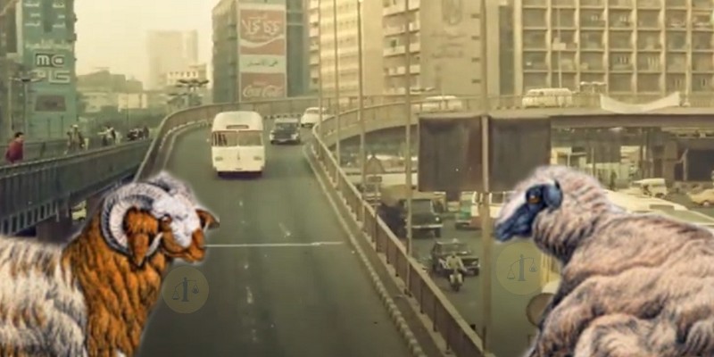 خرفان الأضحية