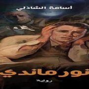 رواية نور ماندي