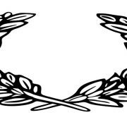 غصن الزيتون