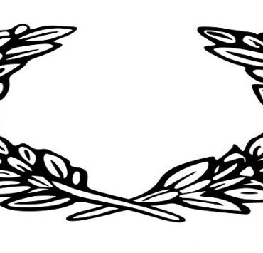 غصن الزيتون