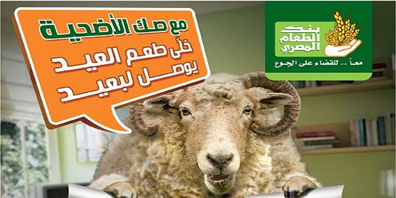 الإنابة في ذبح الأضاحي