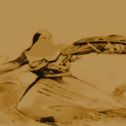 نسيبة بنت كعب