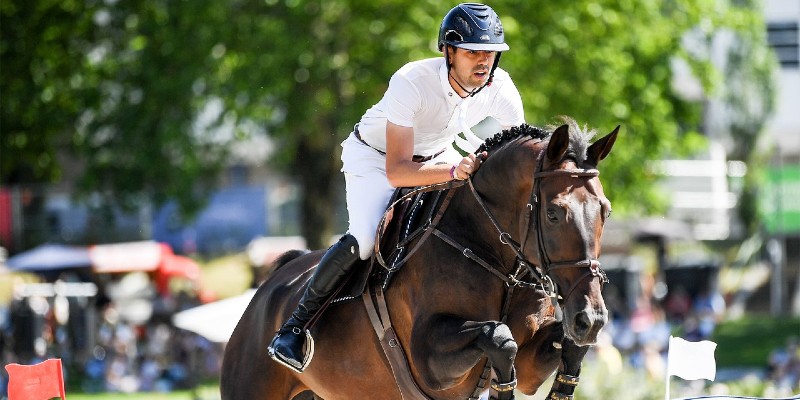 كيف يتم نقل الخيول للمشاركة في مسابقات الفروسية الدولية مثل الأولمبياد؟ الخيول