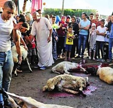 عزيزي المضحي .. لا بارك الله لك