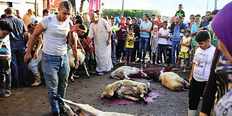 عزيزي المضحي .. لا بارك الله لك