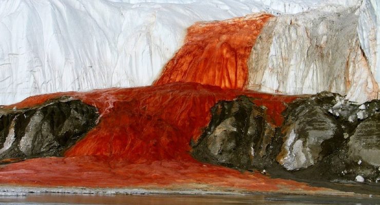 أنتاركتيكا