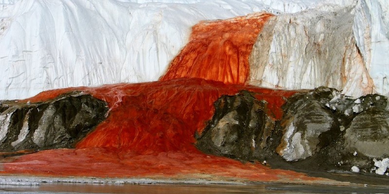 أنتاركتيكا