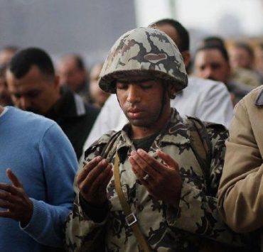 مقهى Cat Cafe لمحبي القطط والقهوة في أبو ظبي المصري