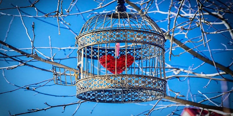 الحب المشروط