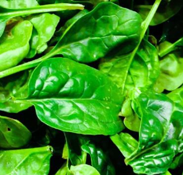 تتعامل مع شخص يعاني من اضطراب عقلي ؟.. احترس من هذه الكلمات السبانخ