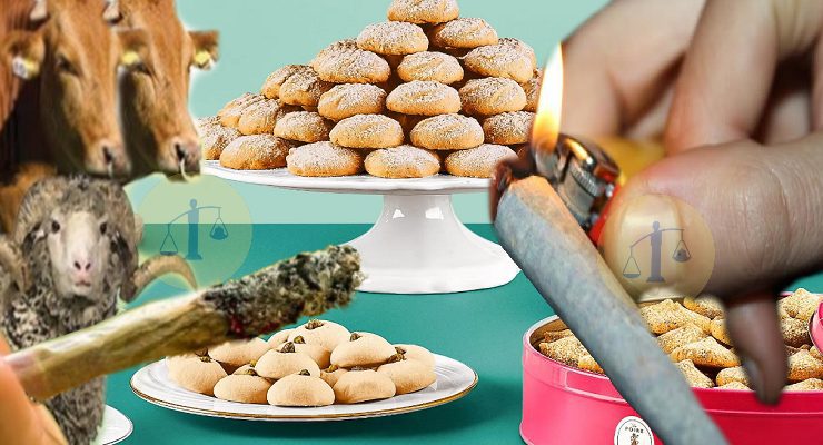 المخدرات والأعياد