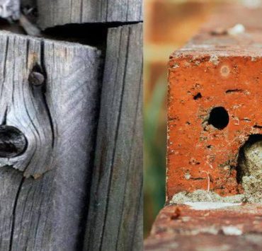 الباريدوليا