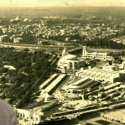 نخلة المطيعي