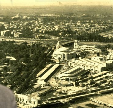 نخلة المطيعي