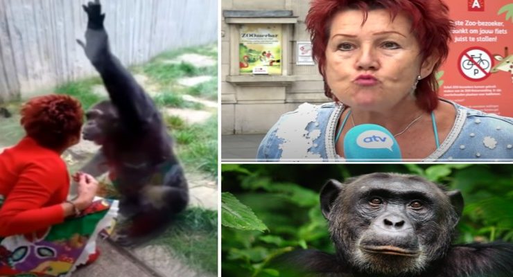 حديقة الحيوان