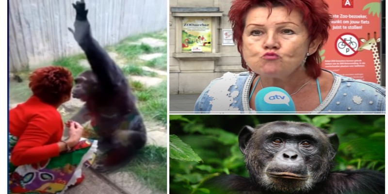 حديقة الحيوان