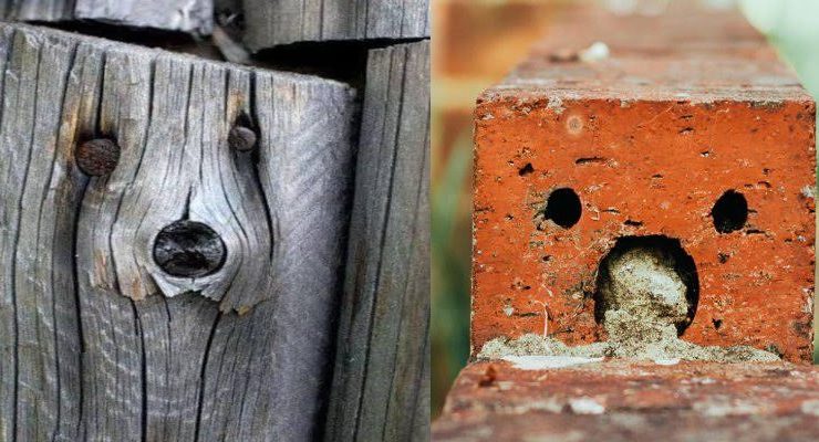 الباريدوليا