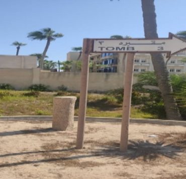 عثمان أحمد عثمان