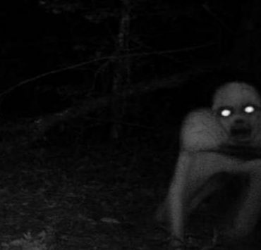 هل تمكن أبطال “الهروب الكبير” من الفرار خارج الحدود الفلسطينية ؟ الدجال