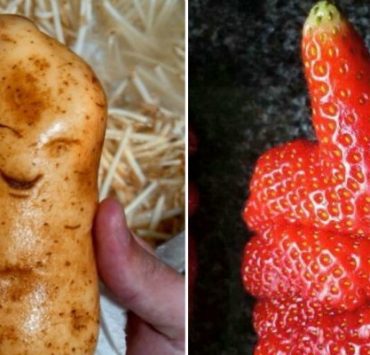 أشكال غريبة