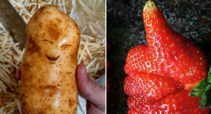 أشكال غريبة