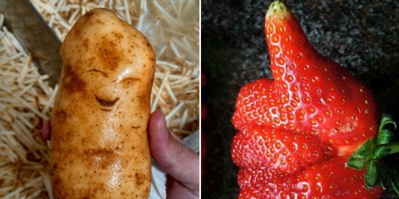 أشكال غريبة